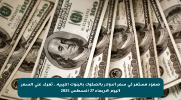 صعود مستمر في سعر الدولار بالصكوك بالبنوك الليبية.. تعرف على السعر اليوم الأربعاء 27 أغسطس 2025